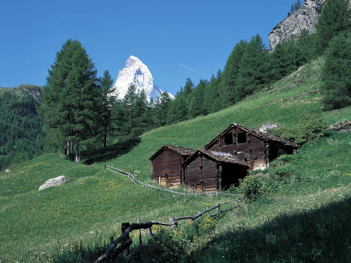 Apartment Hubertus-1 By Interhome Zermatt Eksteriør bilde